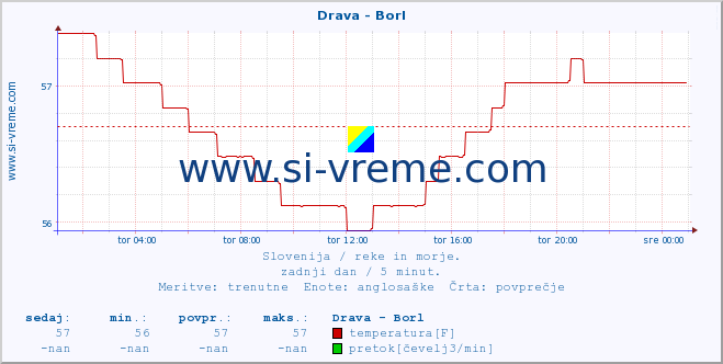 POVPREČJE :: Drava - Borl :: temperatura | pretok | višina :: zadnji dan / 5 minut.