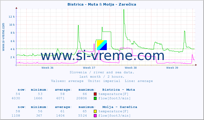  :: Bistrica - Muta & Molja - Zarečica :: temperature | flow | height :: last month / 2 hours.