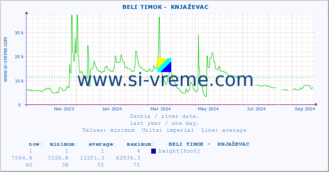  ::  BELI TIMOK -  KNJAŽEVAC :: height |  |  :: last year / one day.